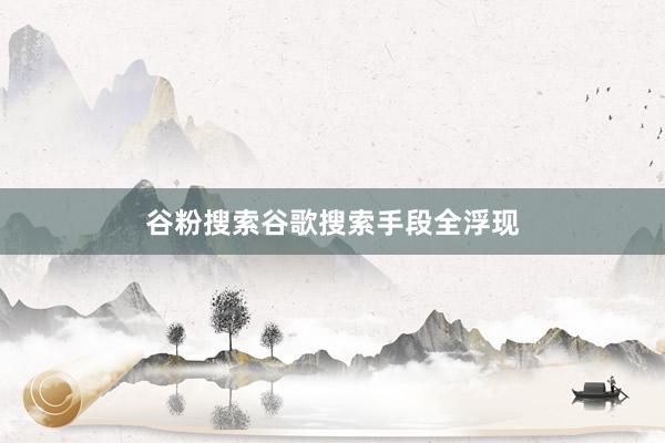 谷粉搜索谷歌搜索手段全浮现