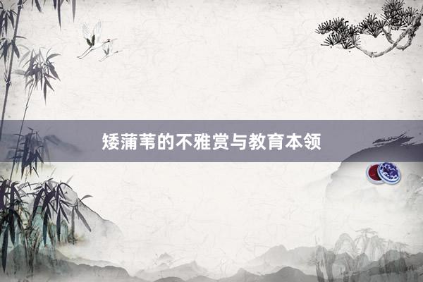 矮蒲苇的不雅赏与教育本领
