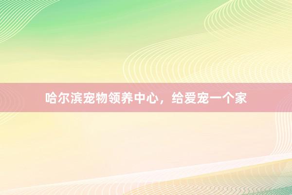 哈尔滨宠物领养中心,给爱宠一个家