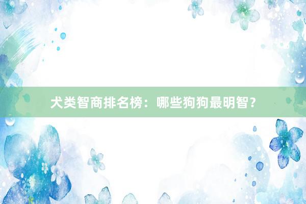 犬类智商排名榜：哪些狗狗最明智？